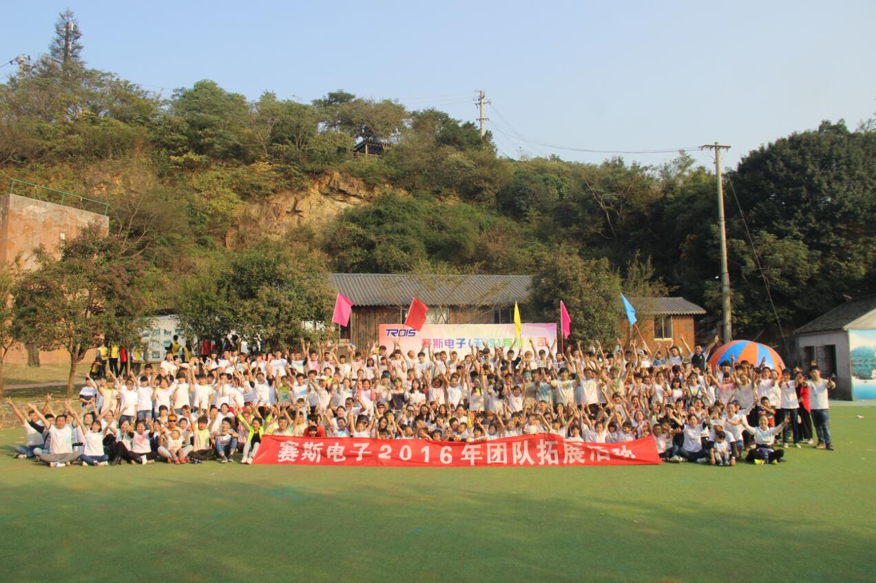 賽斯電子